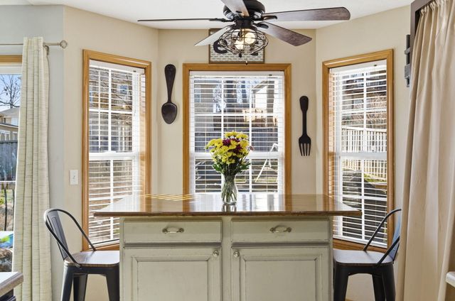 248 Mesquite Drive, Branson, MO 65616