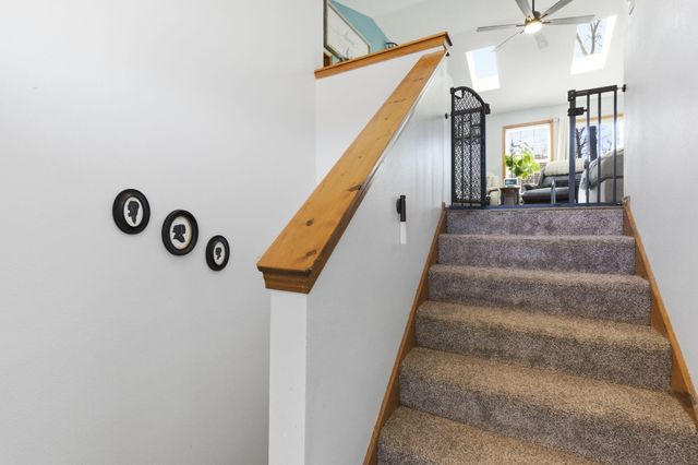 248 Mesquite Drive, Branson, MO 65616