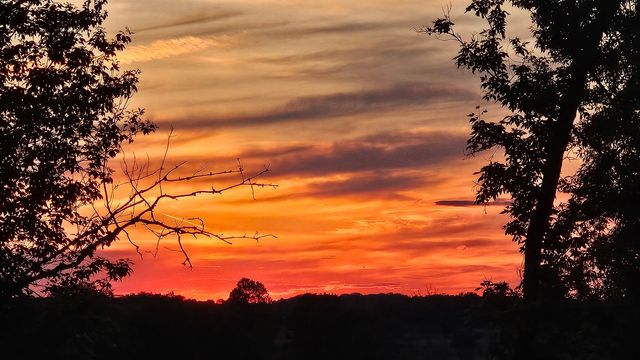 4220 Northgate Drive, Spring Grove, IL 60081