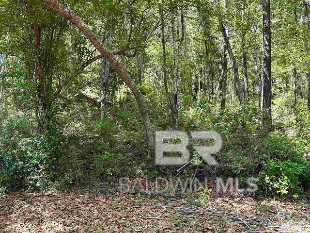 tbd Plaza Marcia Drive, Lillian, AL 36549