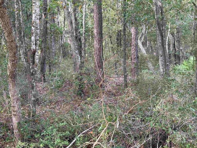 tbd Plaza Marcia Drive, Lillian, AL 36549