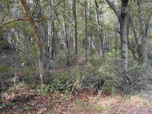 tbd Plaza Marcia Drive, Lillian, AL 36549