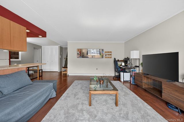 100 Clinton Avenue 3K, Mineola, NY 11501