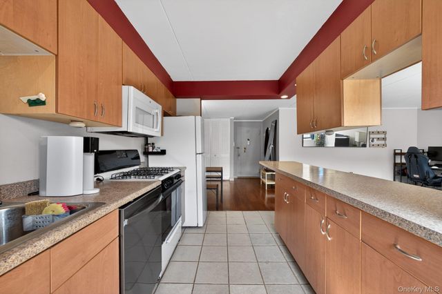 100 Clinton Avenue 3K, Mineola, NY 11501