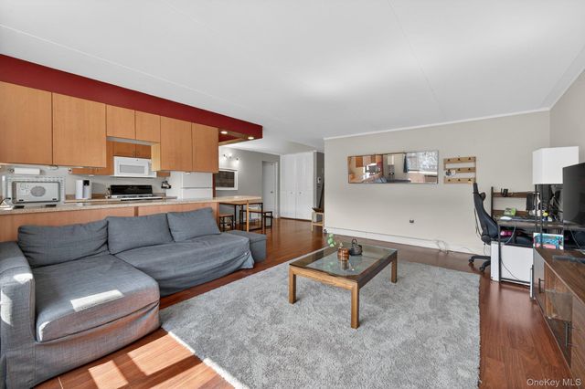 100 Clinton Avenue 3K, Mineola, NY 11501