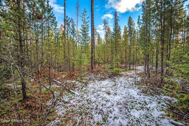 Lot 3 10.32 Acre Reeder Bay Road, Nordman, ID 83848