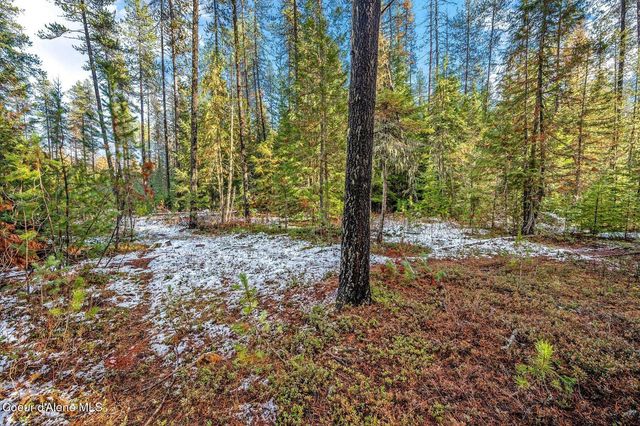 Lot 3 10.32 Acre Reeder Bay Road, Nordman, ID 83848