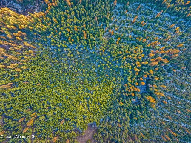 Lot 3 10.32 Acre Reeder Bay Road, Nordman, ID 83848