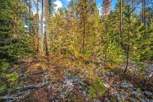 Lot 3 10.32 Acre Reeder Bay Road, Nordman, ID 83848