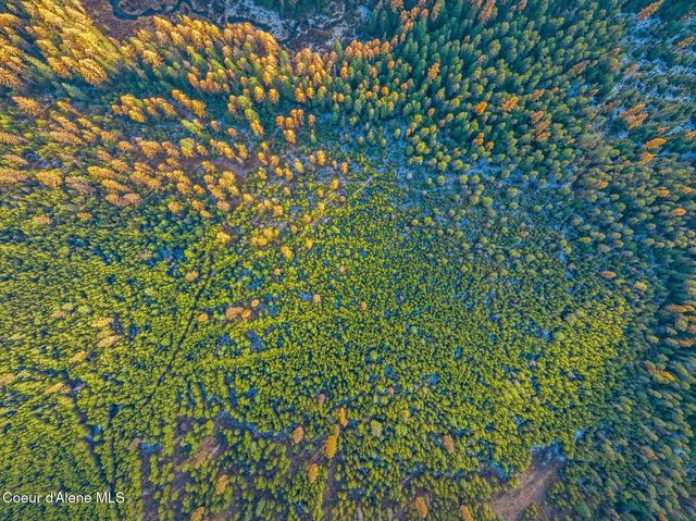 Lot 3 10.32 Acre Reeder Bay Road, Nordman, ID 83848