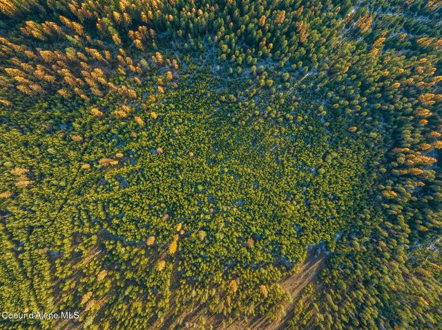 Lot 3 10.32 Acre Reeder Bay Road, Nordman, ID 83848