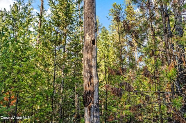 Lot 3 10.32 Acre Reeder Bay Road, Nordman, ID 83848