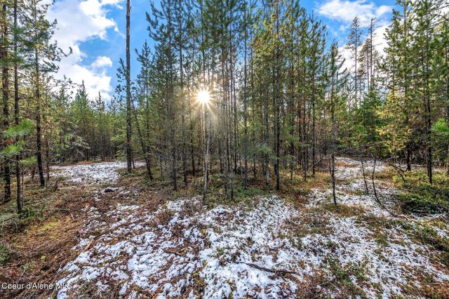 Lot 3 10.32 Acre Reeder Bay Road, Nordman, ID 83848