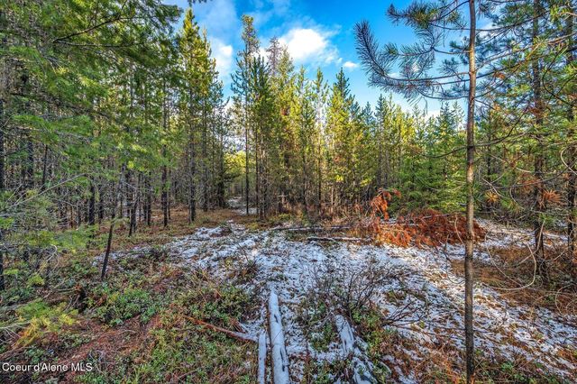 Lot 3 10.32 Acre Reeder Bay Road, Nordman, ID 83848