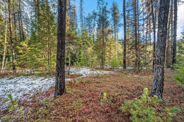 Lot 3 10.32 Acre Reeder Bay Road, Nordman, ID 83848