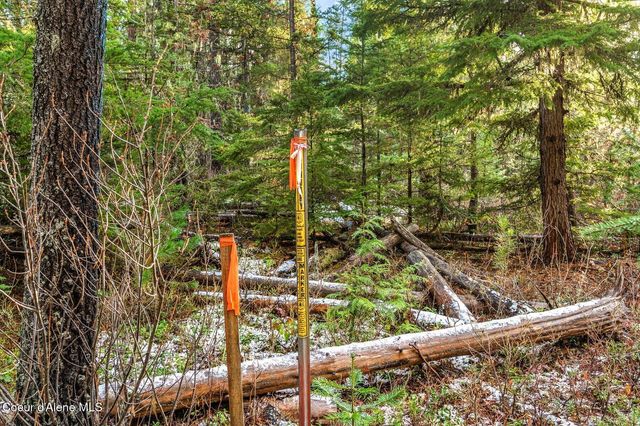 Lot 3 10.32 Acre Reeder Bay Road, Nordman, ID 83848