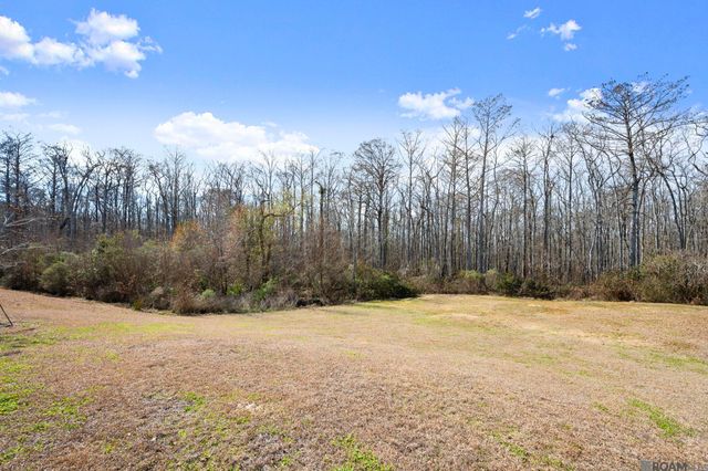 23373 Cypress Cove, Springfield, LA 70462