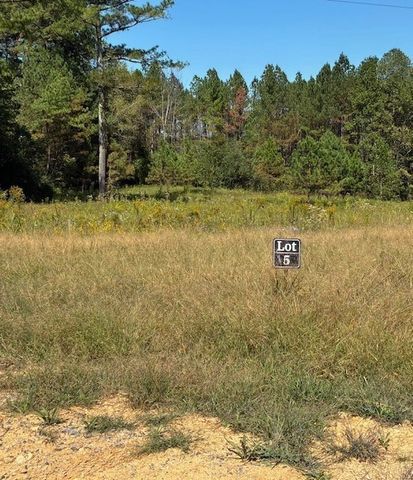 3224 Hunziker Lane, Fairview, TN 37062