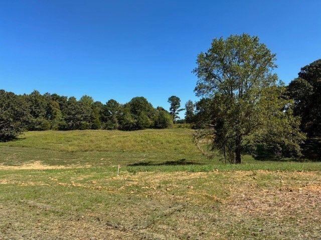 3224 Hunziker Lane, Fairview, TN 37062