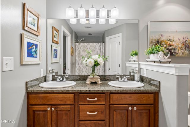 15 Palisades Pointe 15, Johnson City, TN 37601