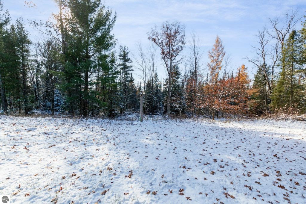 Snow-covered yard surrounded by trees, showcasing the natural setting of the property at 650 Linda Drive, Harrison, MI, ideal for outdoor recreation and seasonal enjoyment.
