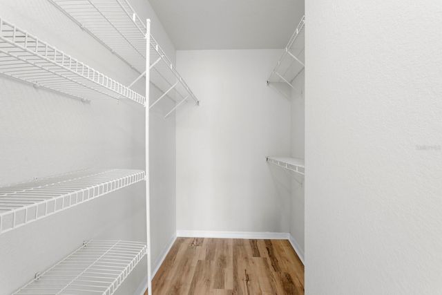 9831 MEADOW FIELD CIRCLE 9831, Tampa, FL 33626