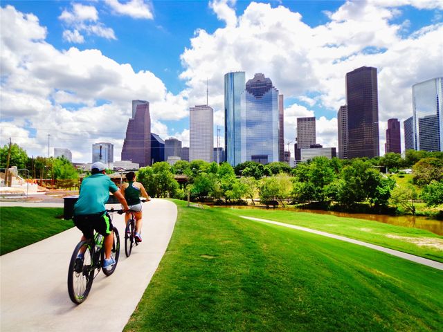 2514 Mcclendon Street, Houston, TX 77030