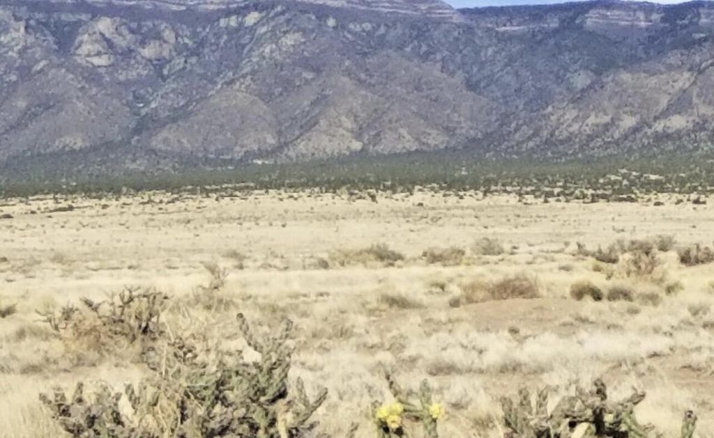 S Rio del Oro Lot 34 & 35, Los Lunas, NM 87031