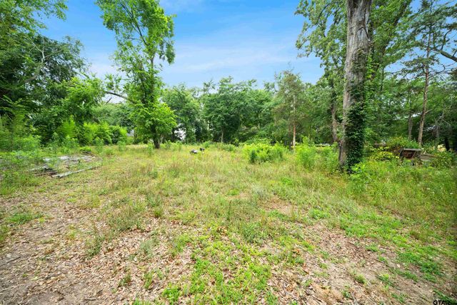 2425 Thompson Ln, Tyler, TX 75701