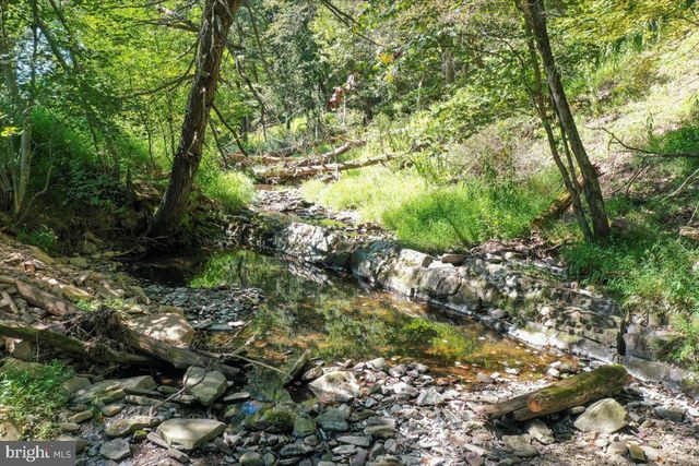 1956 DOVE HOLLOW RD, Mathias, WV 26812