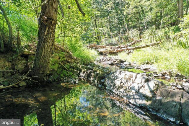 1956 DOVE HOLLOW RD, Mathias, WV 26812