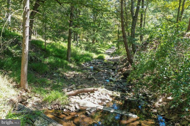 1956 DOVE HOLLOW RD, Mathias, WV 26812