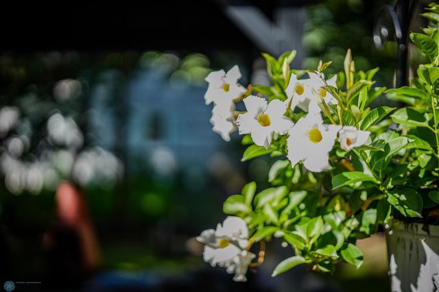 624 4th Street S, Moorhead, MN 56560