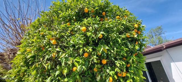 22 Van Dyke Street, Thousand Oaks, CA 91360