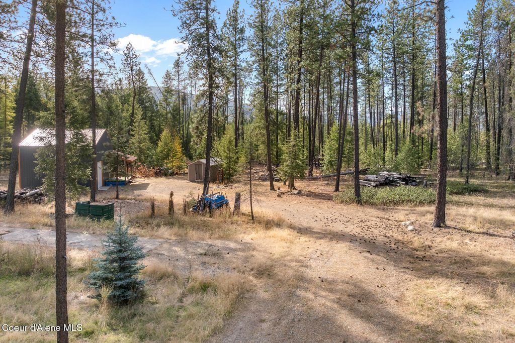 252 Hummingbird LN, Blanchard, ID 83804 photo 5