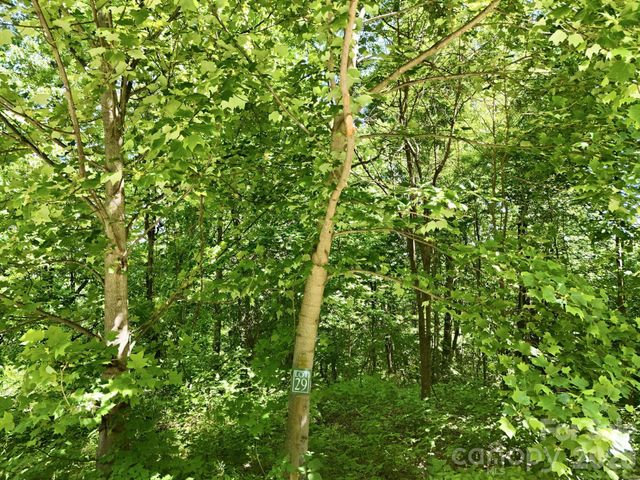 99999 Cliffledge Trail, Black Mountain, NC 28711