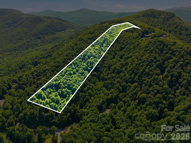 99999 Cliffledge Trail, Black Mountain, NC 28711