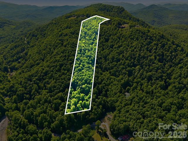 99999 Cliffledge Trail, Black Mountain, NC 28711