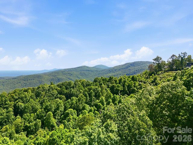 99999 Cliffledge Trail, Black Mountain, NC 28711