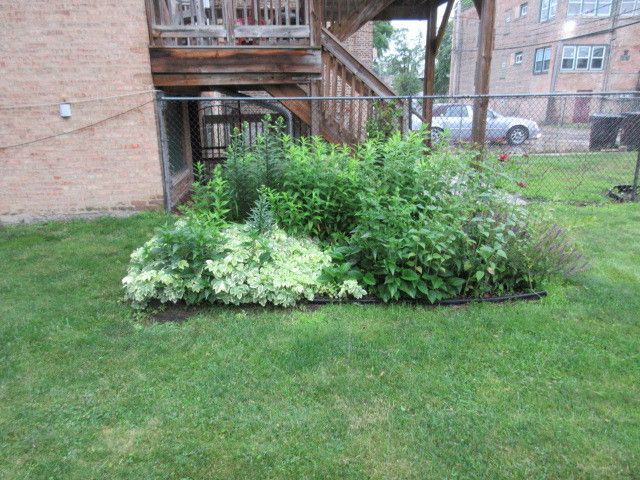 1449 - 51 W Garfield Boulevard, Chicago, IL 60636