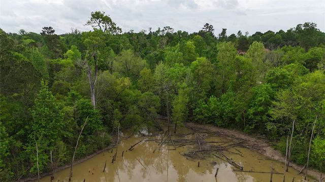 59 Highway 59 Loop Drive, Livingston, TX 77351