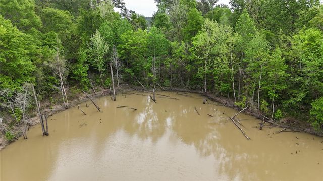 59 Highway 59 Loop Drive, Livingston, TX 77351