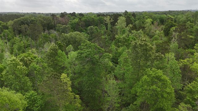 59 Highway 59 Loop Drive, Livingston, TX 77351