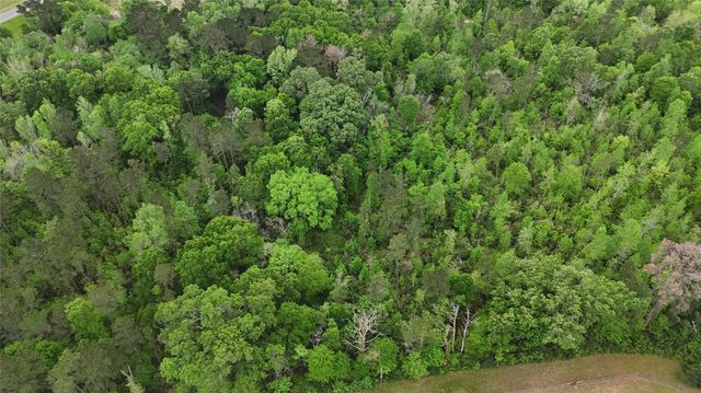 59 Highway 59 Loop Drive, Livingston, TX 77351