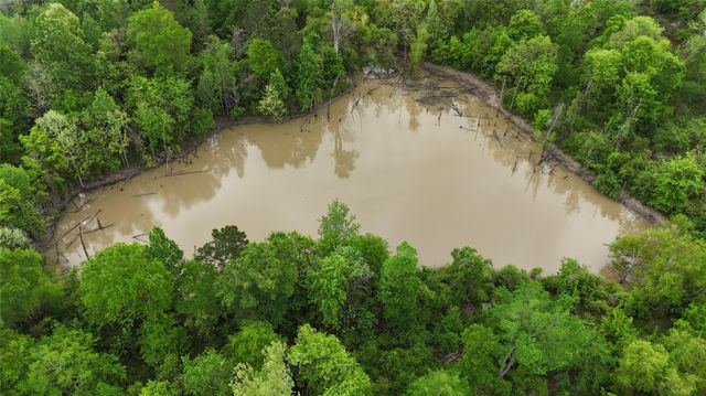 59 Highway 59 Loop Drive, Livingston, TX 77351