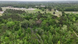 59 Highway 59 Loop Drive, Livingston, TX 77351