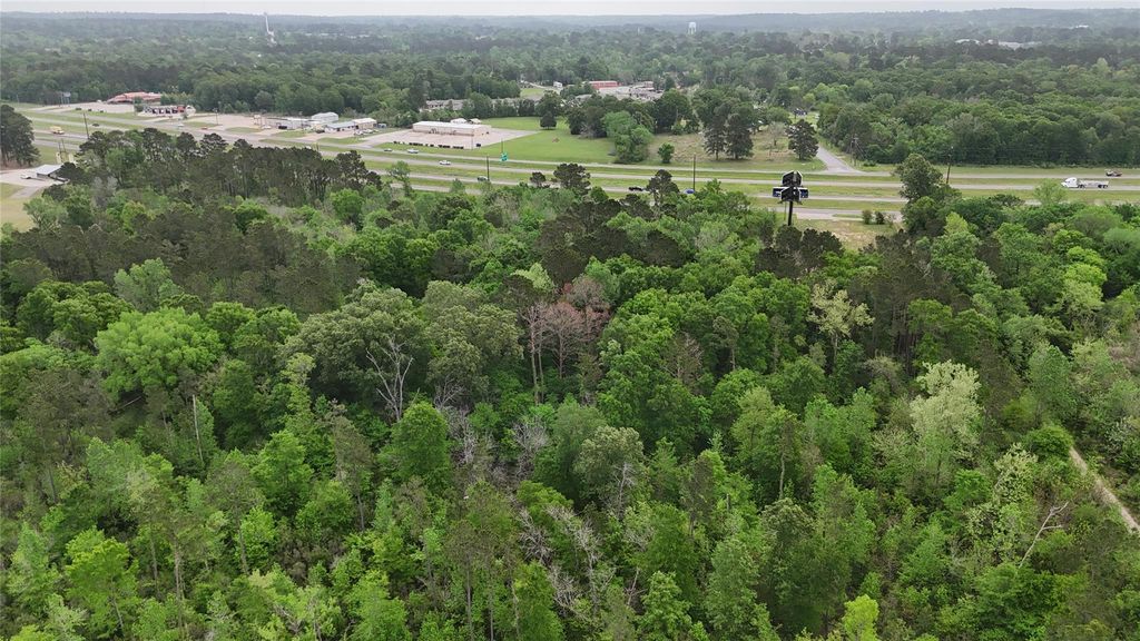 59 Highway 59 Loop Drive, Livingston, TX 77351