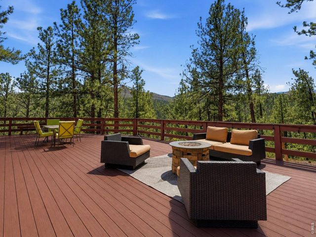16687 Ouray Rd W, Pine, CO 80470