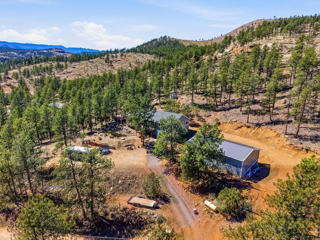 16687 Ouray Rd W, Pine, CO 80470