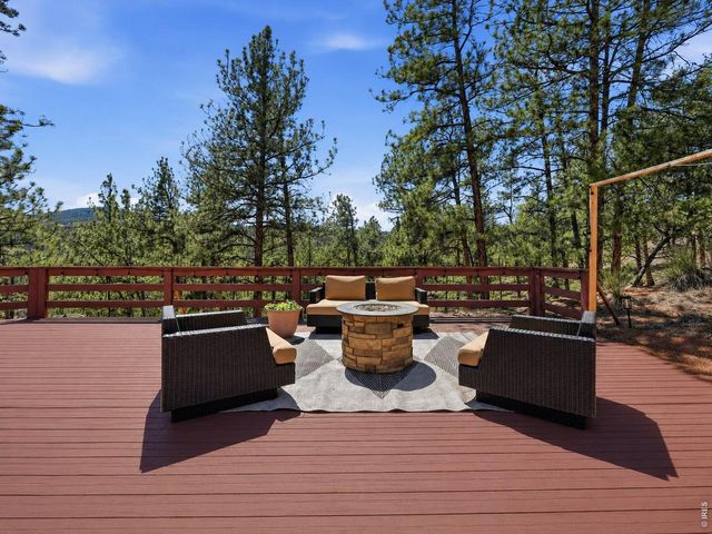 16687 Ouray Rd W, Pine, CO 80470